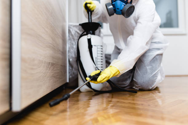 Professional Pest Control in Ashland, OH