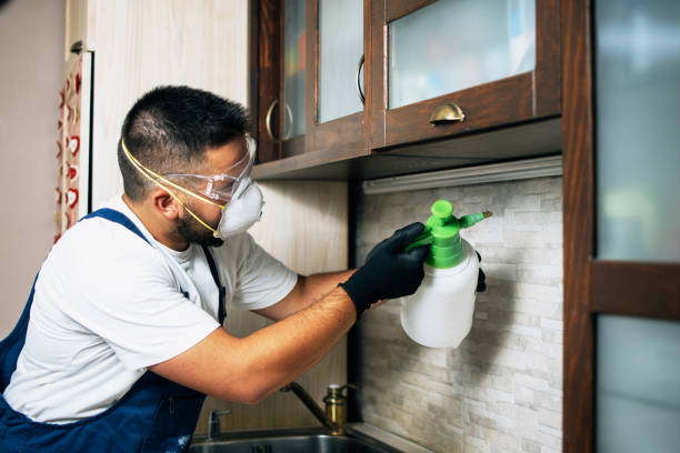 Best Pest Control Near Me in Ashland, OH