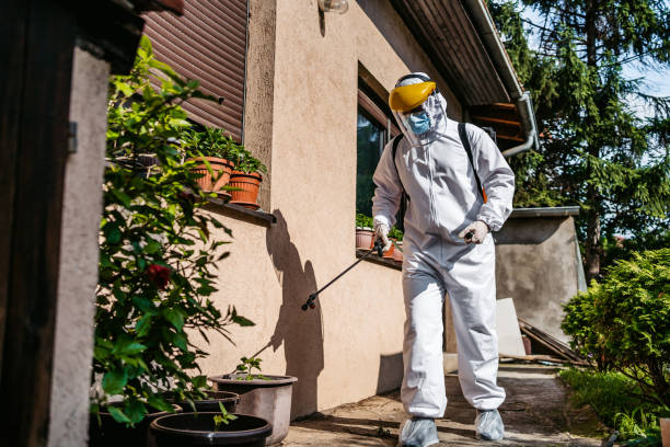 Best Local Pest Control Services  in Ashland, OH