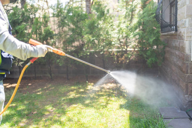 Best Affordable Pest Control Services  in Ashland, OH