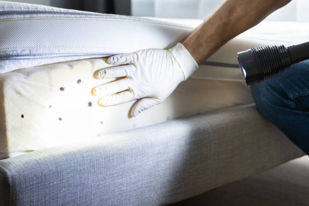  Ashland, OH Pest Control Pros