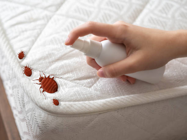 Best Emergency Pest Control  in Ashland, OH