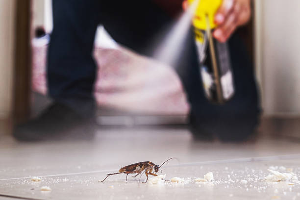Best Pest Control Cost  in Ashland, OH
