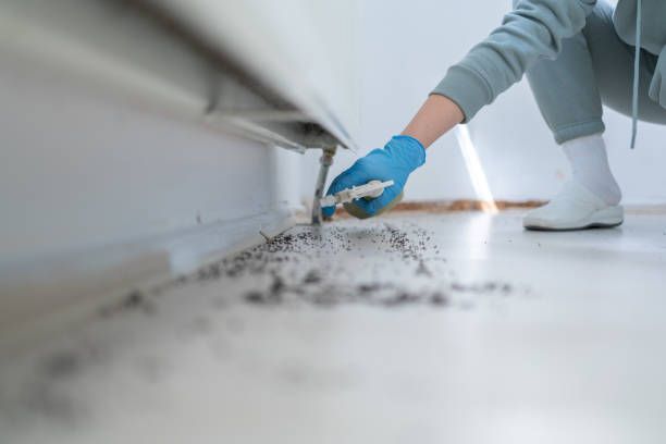 Pest Control Cost in Ashland, OH